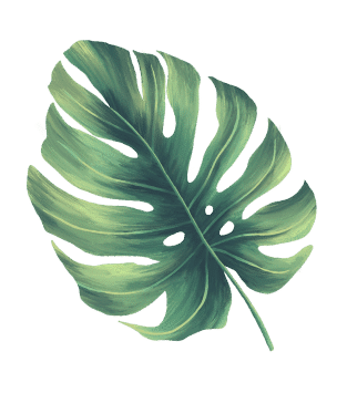 image-24-1.png